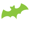 Bats in my Attic Virginia - Norfolk Bats in Attic - Suffolk Bats in Attic