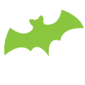 Bats in my Attic Virginia - Norfolk Bats in Attic - Suffolk Bats in Attic